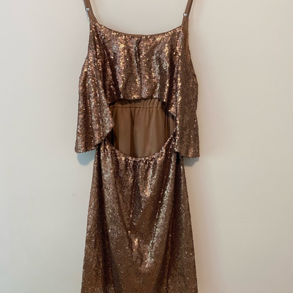 Tobi sequin dress